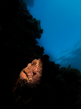 WCM_9683-Edit.jpg